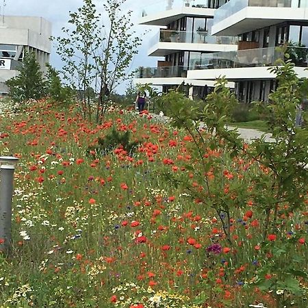 Апартаменты Bo Med Stil Og Udsigt Til Aarhus Lystbadehavn Экстерьер фото